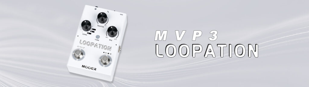 LOOPATION BANNER MOOER