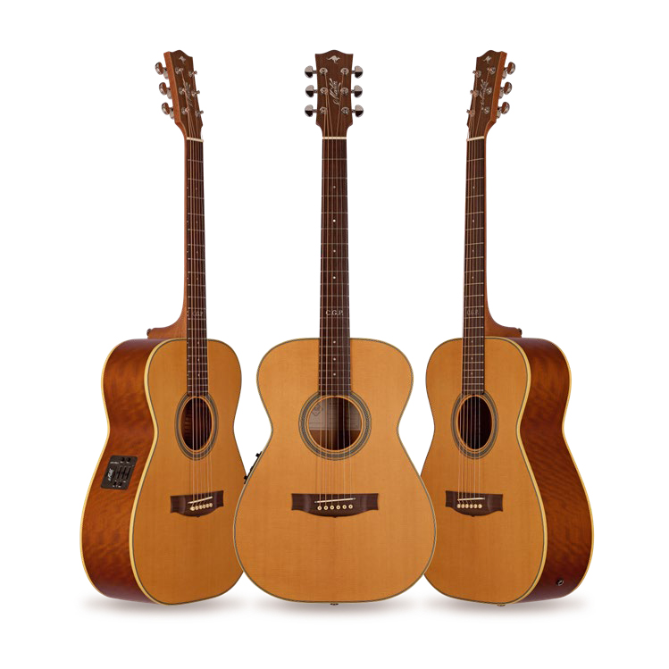 Maton Master Built TE Personal 06 10