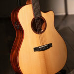 cort gold a 10 cocobolo acoustic guitar lifestyle 3